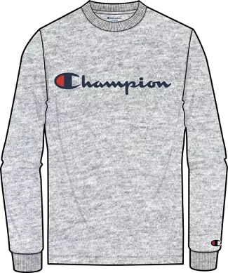 Champion Classic Graphic Long Sleeve Tee