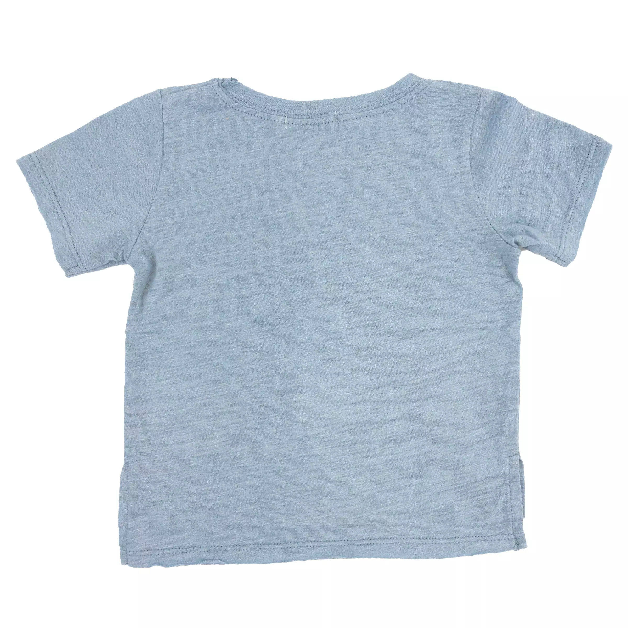 oh baby! Raw Edge Tee - Large Puppy Mist Natural Applique - Fog